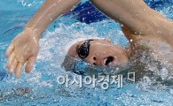 [인천AG]韓 수영, 남자 800m 계영 銅