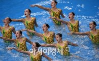 [포토]각잡힌 북한 싱크로나이즈드 선수들