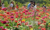 [포토]'가을 로맨스'