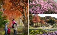 한택식물원 "들국화·단풍보러 오세요"