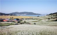 [포토]장흥 선학동 마을 “순백의 향연”