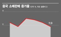 [아베-시진핑 열전]'두 자녀 낳기'로 산부인과 예약·유아용품 소비 급증