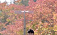 [포토]손흥민,'가을 단풍을 배경삼아 NFC 입소'