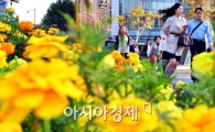[포토]'절기상 한로'