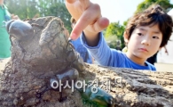 [포토]직접 만져보는 장수풍뎅이