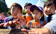 [포토]곤충올림픽에서 모습 들어낸 장수풍뎅이