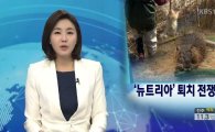 '괴물쥐' 뉴트리아 멸종 유도 방식 "항문을 봉합 후 풀어주면…"