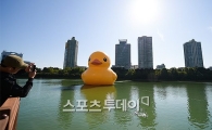 석촌호수에 상륙한 거대 고무오리 '러버덕'…그 의미는?