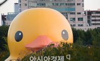 '러버덕' 제작자가 공개한 '뒷이야기' 화제 "보고만 있으면 저절로…"
