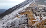 '대관령터널' 국내 최장 산악터널 등극…25일 관통행사