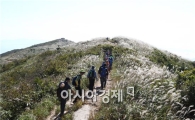 [포토]장흥 천관산 은빛억새 유혹 ~통합의학 박람회까지