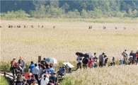 [포토]순천만 갈대밭에서 가을정취 만끽하는 관광객들