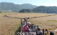 [포토]순천만갈대축제에서 가을을 만끽하세요