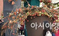 [포토]도심속 가을 축제