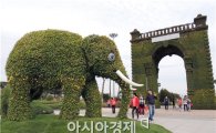 [포토]함평국화축제장에 모습드러낸 대형 코끼리와 독립문