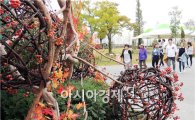 [포토]맹감과 단풍이 어우러진 함평엑스포공원