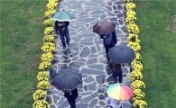 [포토]가을비속에 알록달록 우산행렬~한 폭의 그림