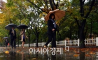 [포토]가을비와 낙엽