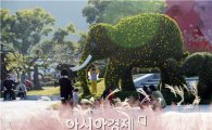 [포토]함평국화축제장으로 대형 국화 코끼리 보러오세요