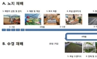 물로 키우는 ‘인삼 수경재배’ 특허출원 증가세