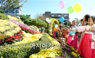 [포토]광주 북구청으로 국화보러오세요