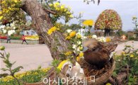 [포토]함평국향대전, 국화꽃에 앉아있는 참새가족