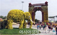 [포토]함평국향대전, "코끼리와 독립문" 만개