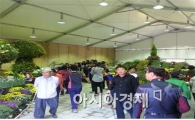 오감만족 정남진 장흥 국화전시회 연일 성황