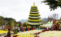 [포토]함평국화축제장 휴일 관광객 북적