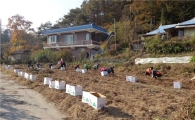 성북구 장위1동 고구마 수확 이웃사랑 전달