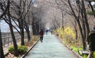 허밍웨이길· 몽마르뜨공원 등 서초엔 산책길 많아