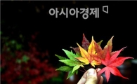 [포토]가는 가을이 아쉽구나…다시보는 가을빛 
