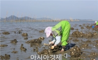 건강보양의 섬 완도 약산도의 정겨운 가을정취