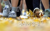 [포토]낙엽 밟으며...
