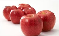 사과 보관법, 1~5℃로 최대 7일까지…"갈변 사과, 안녕"
