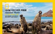 효성 세빛섬, 내셔널지오그래픽 사진전 개최