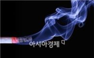 서울시, 지하철 출입구 금연구역 추진…"간접흡연 NO!"