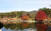 일본식 조경 논란 '현충사 연못' 전통양식으로 정비