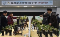 [포토]"명품난, 희귀난 보러오세요~"