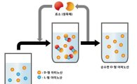 의약품 핵심원료 비천연아미노산 국산화 길 열렸다