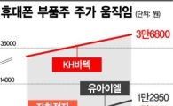 "꺼진불도 다시보자"…휴대폰 부품주 '날갯짓'
