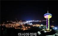 완도타워 2015해맞이 입장객 19일 까지 공개모집