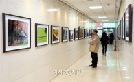 전남대병원-광주심평원 합동사진전시회