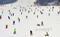 전국 스키장 정보…'대표 포털사이트를 통해 보다 쉽고 편리하게'
