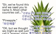 파인애플의 충격적인 진실
