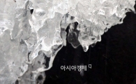 [포토]포근한 날씨 속 '한파' 녹다