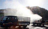 충남 홍성 또 '구제역' 발생으로 초비상… "238마리 돼지 땅에 묻고 소독작업"