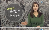 겨울 제철 음식 궁합 "겨울철 무 섭취 최고, 하지만…" 정보 알고 먹자