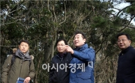 [포토]완도 소안도 미라상록수림 탐방하고있는 이낙연 전남지사