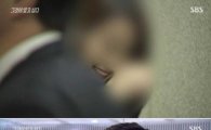 '땅콩회항' 악마의 미소 지은 여승무원 신상 털려 '마녀사냥' 논란